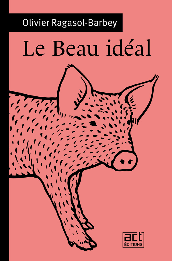 Un jeune porc regarde le spectateur